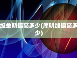 维金斯摸高多少(库明加摸高多少)