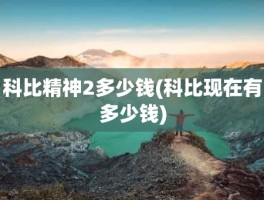 科比精神2多少钱(科比现在有多少钱)