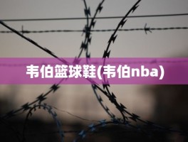 韦伯篮球鞋(韦伯nba)