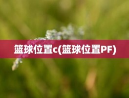 篮球位置c(篮球位置PF)