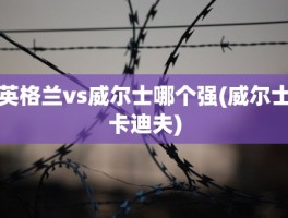 英格兰vs威尔士哪个强(威尔士卡迪夫)