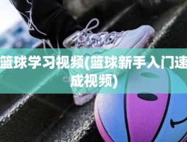 篮球学习视频(篮球新手入门速成视频)