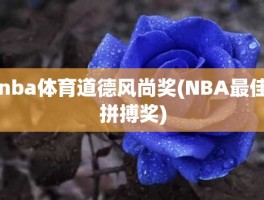 nba体育道德风尚奖(NBA最佳拼搏奖)