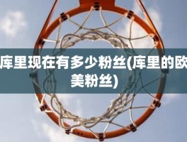 库里现在有多少粉丝(库里的欧美粉丝)