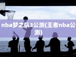 nba梦之队3公测(王者nba公测)