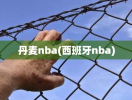 丹麦nba(西班牙nba)