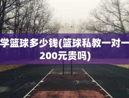 学篮球多少钱(篮球私教一对一200元贵吗)