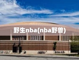 野生nba(nba野兽)