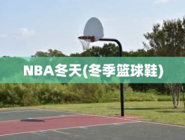 NBA冬天(冬季篮球鞋)