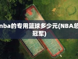 nba的专用篮球多少元(NBA总冠军)