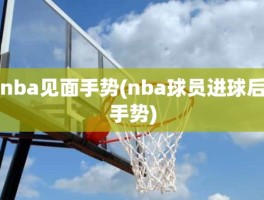 nba见面手势(nba球员进球后手势)