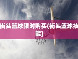 街头篮球限时购买(街头篮球技能)