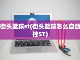 街头篮球st(街头篮球怎么自动挂ST)