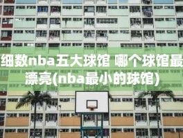 细数nba五大球馆 哪个球馆最漂亮(nba最小的球馆)