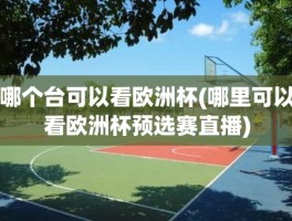 哪个台可以看欧洲杯(哪里可以看欧洲杯预选赛直播)
