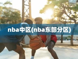 nba中区(nba东部分区)