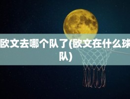 欧文去哪个队了(欧文在什么球队)