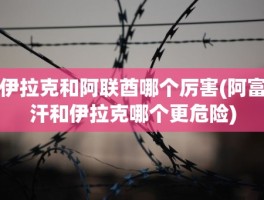 伊拉克和阿联酋哪个厉害(阿富汗和伊拉克哪个更危险)