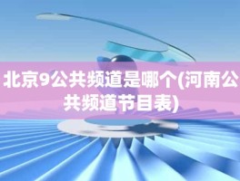 北京9公共频道是哪个(河南公共频道节目表)