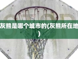 灰熊是哪个城市的(灰熊所在地)