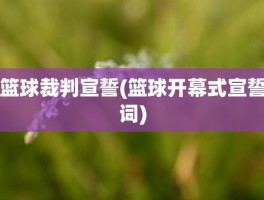 篮球裁判宣誓(篮球开幕式宣誓词)