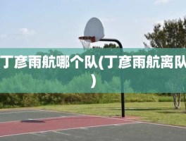 丁彦雨航哪个队(丁彦雨航离队)