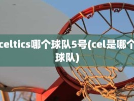 celtics哪个球队5号(cel是哪个球队)