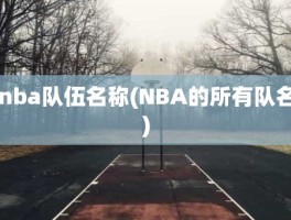 nba队伍名称(NBA的所有队名)