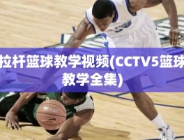 拉杆篮球教学视频(CCT∨5篮球教学全集)