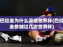 巴拉圭为什么没进世界杯(巴拉圭参加过几次世界杯)