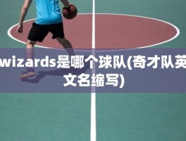 wizards是哪个球队(奇才队英文名缩写)