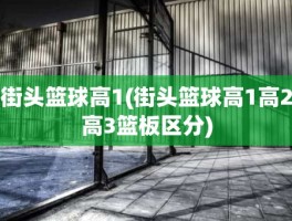 街头篮球高1(街头篮球高1高2高3篮板区分)