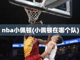 nba小佩顿(小佩顿在哪个队)