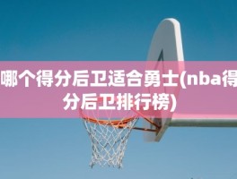 哪个得分后卫适合勇士(nba得分后卫排行榜)