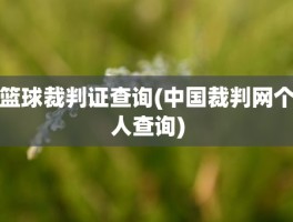 篮球裁判证查询(中国裁判网个人查询)