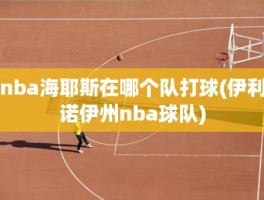 nba海耶斯在哪个队打球(伊利诺伊州nba球队)