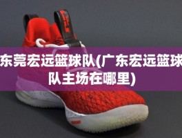 东莞宏远篮球队(广东宏远篮球队主场在哪里)