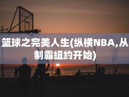 篮球之完美人生(纵横NBA,从制霸纽约开始)