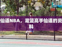 仙道NBA，灌篮高手仙道的资料