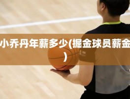 小乔丹年薪多少(掘金球员薪金)