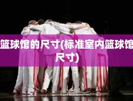 篮球馆的尺寸(标准室内篮球馆尺寸)
