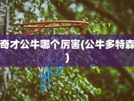 奇才公牛哪个厉害(公牛多特森)