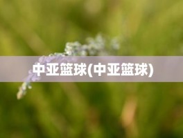 中亚篮球(中亚篮球)