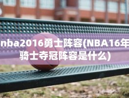 nba2016勇士阵容(NBA16年骑士夺冠阵容是什么)