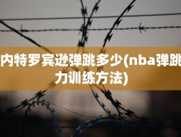 内特罗宾逊弹跳多少(nba弹跳力训练方法)