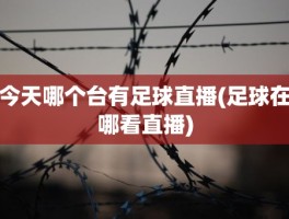 今天哪个台有足球直播(足球在哪看直播)