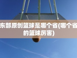 东部原创篮球是哪个省(哪个省的篮球厉害)