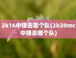 2k16中锋去哪个队(2k20mc中锋去哪个队)