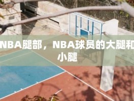 NBA腿部，NBA球员的大腿和小腿