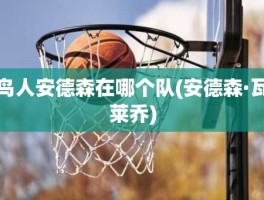 鸟人安德森在哪个队(安德森·瓦莱乔)